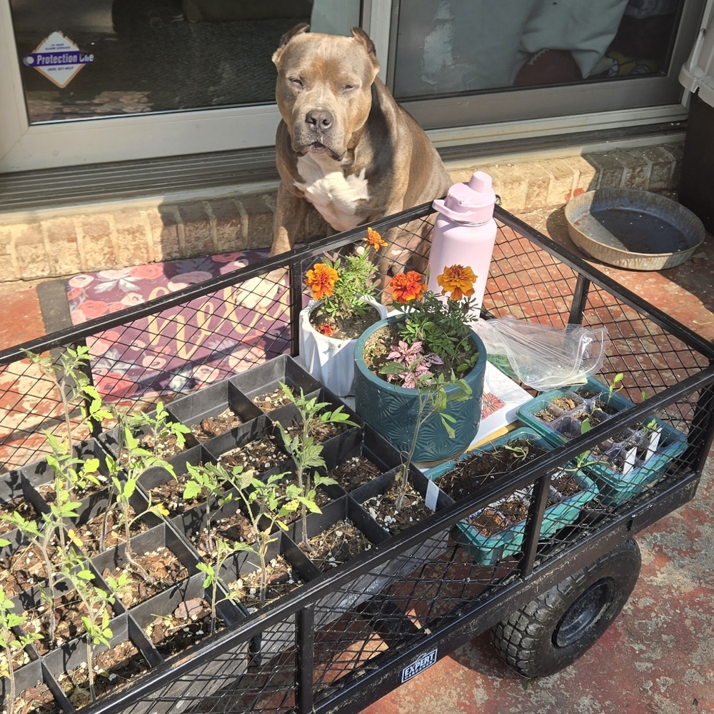 🥰☕Meet the Posher!!🏔💐 - Picture 5 of 10